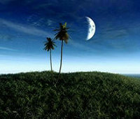 支付宝信用授权查询指南，轻松掌握信用信息