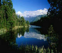 最新个人信用查询网站,一键掌握您的信用状况