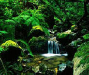 建行个人信用贷，轻松解决资金周转难题