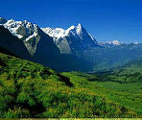 建行个人信用贷，轻松解决资金周转难题